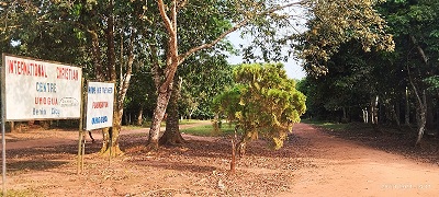 cha
